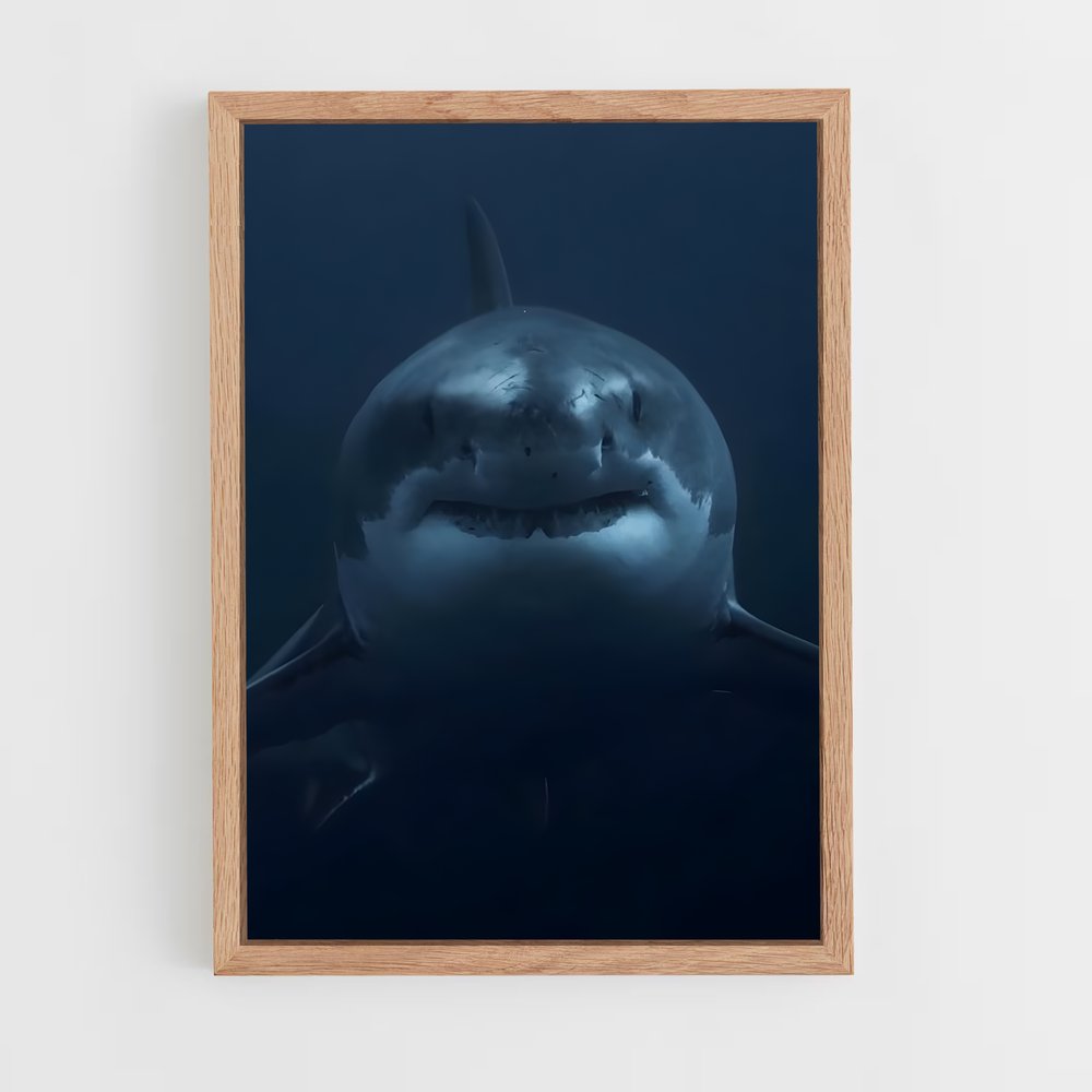 Poster Rencontres Carcharodon – affiche Plongée sous-marine (vue 4)
